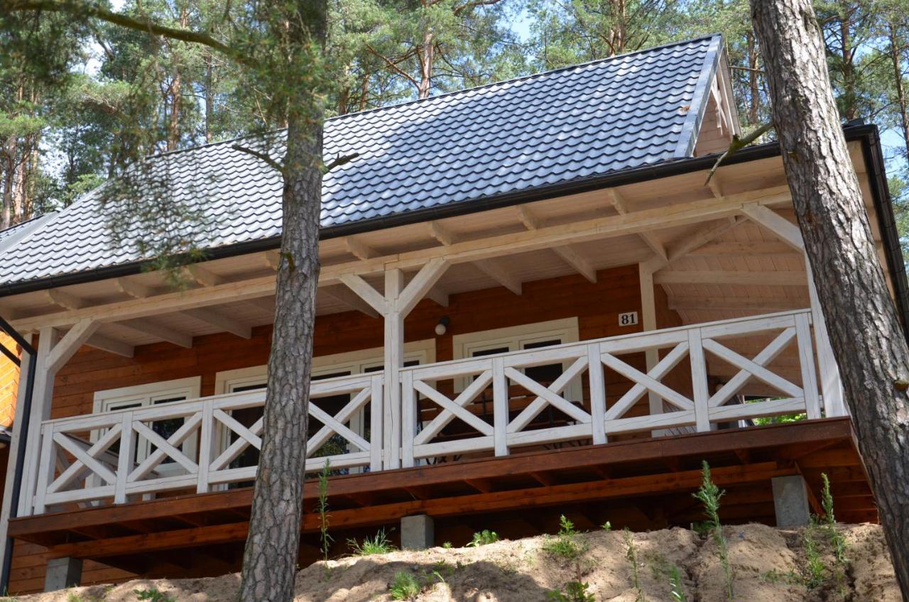Domki Kaszuby - Jezioro Las I Zoo W Szarlocie Kościerzyna Exteriér fotografie